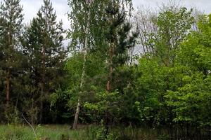 участок по адресу Подлесная ул.