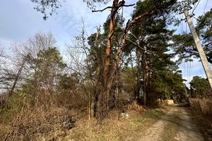 участок по адресу Пролесковая ул., 1б