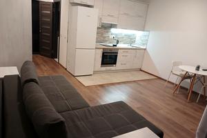 квартира за адресою Олени Пчілки вул., 7
