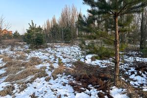 участок по адресу Васильківська, 22