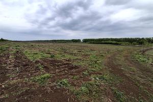 ділянка за адресою Копистинське шосе