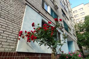 квартира по адресу Семафорная ул., 42