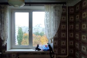 квартира по адресу Победы просп., 62г