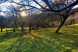 ділянка за адресою вул. Невестюка