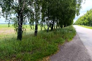 ділянка за адресою с. Ясногородка, 