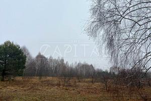 участок по адресу с. Козин, 