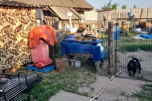 ділянка за адресою Соборна