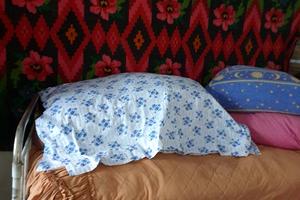 будинок за адресою с. Мале Ладижине, Мале Ладижине, 1