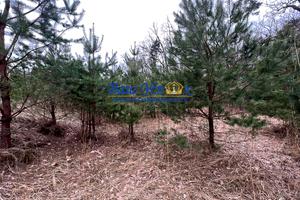 будинок за адресою Ватутіна пров., 11