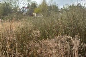 участок по адресу Садовая ул.