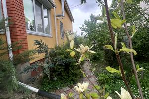 будинок за адресою Димерка