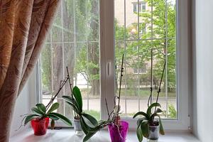 квартира по адресу Универсальная ул., 9