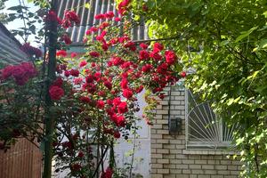 дом по адресу Центральна