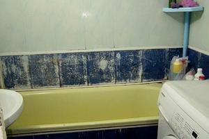 квартира по адресу Академика Королёва ул., 71