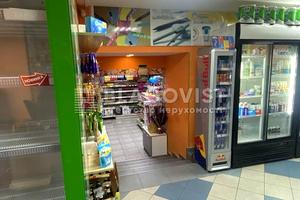 комерційна за адресою Гетьмана Павла Скоропадського вул. (Льва Толстого), 11/61