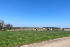 ділянка за адресою 
