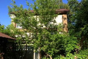 дом по адресу Старобільський пер. (Майкопский), 9