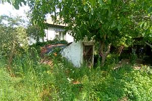 дом по адресу куща