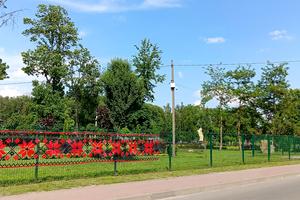 ділянка за адресою Молодіжна