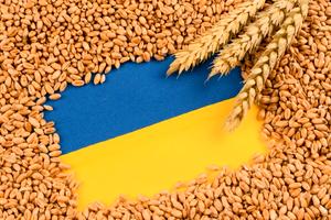 комерційна за адресою Вапняна вул. (Філодорова), 1