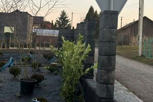 будинок за адресою Львівська вул.
