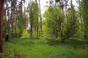 будинок за адресою Амосова, 46-В