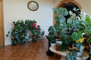 квартира за адресою Дніпро, Токмацька вул., 48