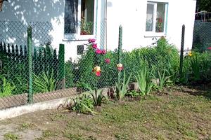 дом по адресу Центральна
