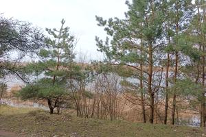 ділянка за адресою Водички