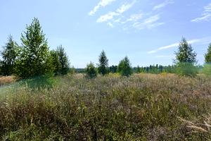 ділянка за адресою Центральна вул.