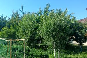 будинок за адресою Андрузького вул.