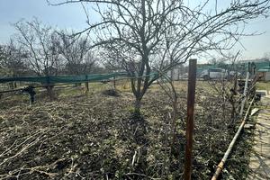 дом по адресу Абрикосова
