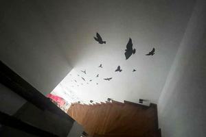 будинок за адресою Івана Мазепи вул.