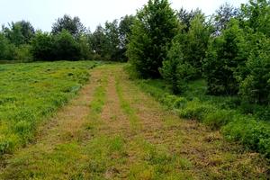ділянка за адресою с. Озерське, Озерна