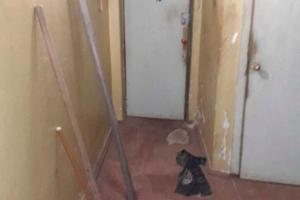 квартира за адресою Дослідна станція, 5