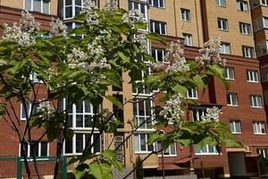 квартира по адресу Генерала М. Тарнавского пер., 4