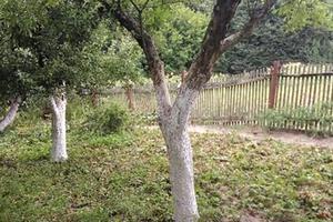 ділянка за адресою Молодіжна вул.
