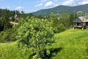 ділянка за адресою 