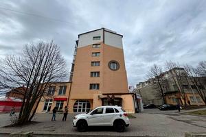 комерційна за адресою Панаса Мирного вул., 19-А