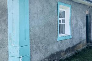 дом по адресу Дружби, 2