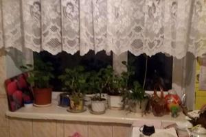 квартира за адресою Кушнірука вул. (Гастелло), 10/5