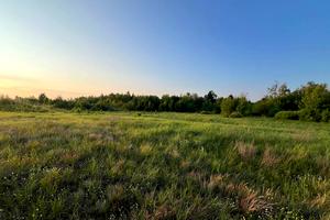 участок по адресу с. Дружня, Вербовая ул.