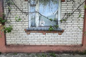 будинок за адресою соснова 23, 23