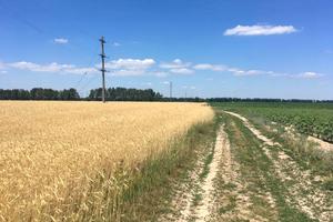 участок по адресу с. Наливайковка, 