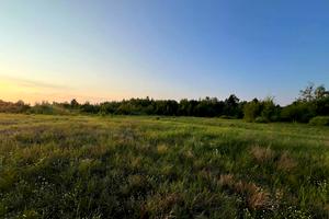 участок по адресу с. Дружня, Вербовая ул.