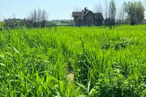 участок по адресу с. Лесники, 