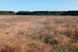 участок по адресу с. Гавриловка, Березова