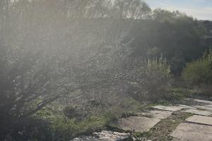 ділянка за адресою Провулок Зоряний
