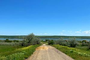 участок по адресу с. Шеметово (Щорсово), Лиманська, 12