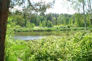 участок по адресу с. Николаевка, Сонячна